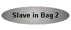 Slave in Bag 2