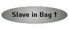 Slave in Bag 1