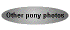 Other pony photos