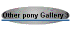 Other pony Gallery 3