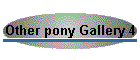Other pony Gallery 4